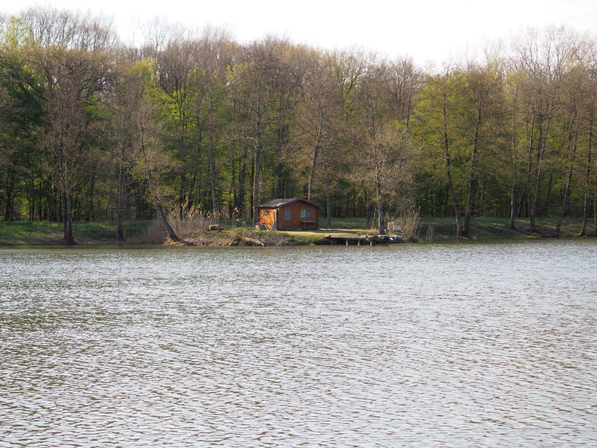 Roselet pond, Chemenot, Jura Bresse