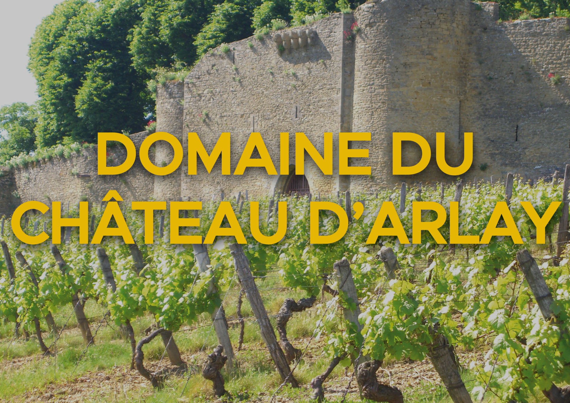 Domaine Château d'Arlay, Jura