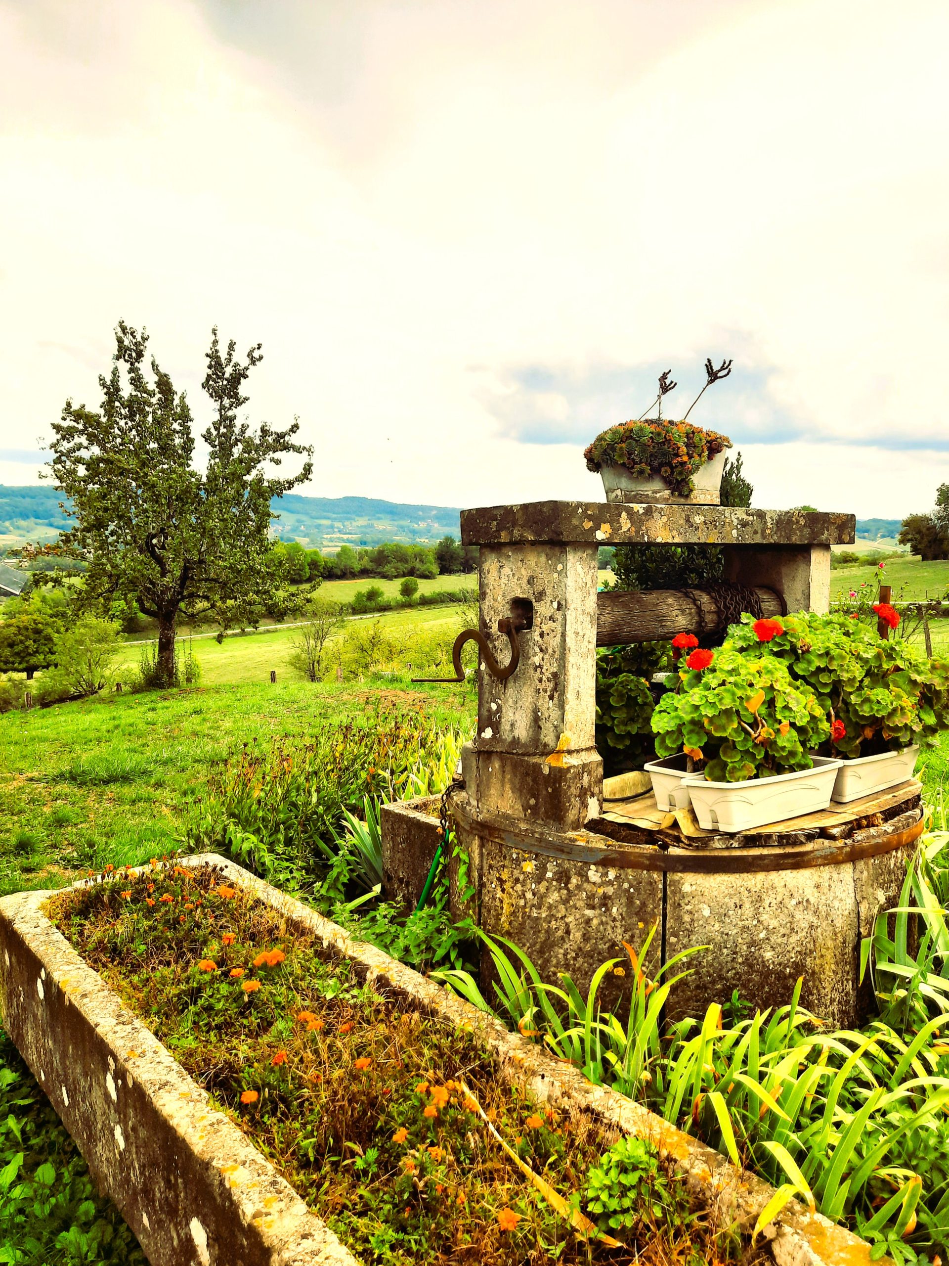 ToulouseleChâteau, un donjon sur le mont JurAbsolu