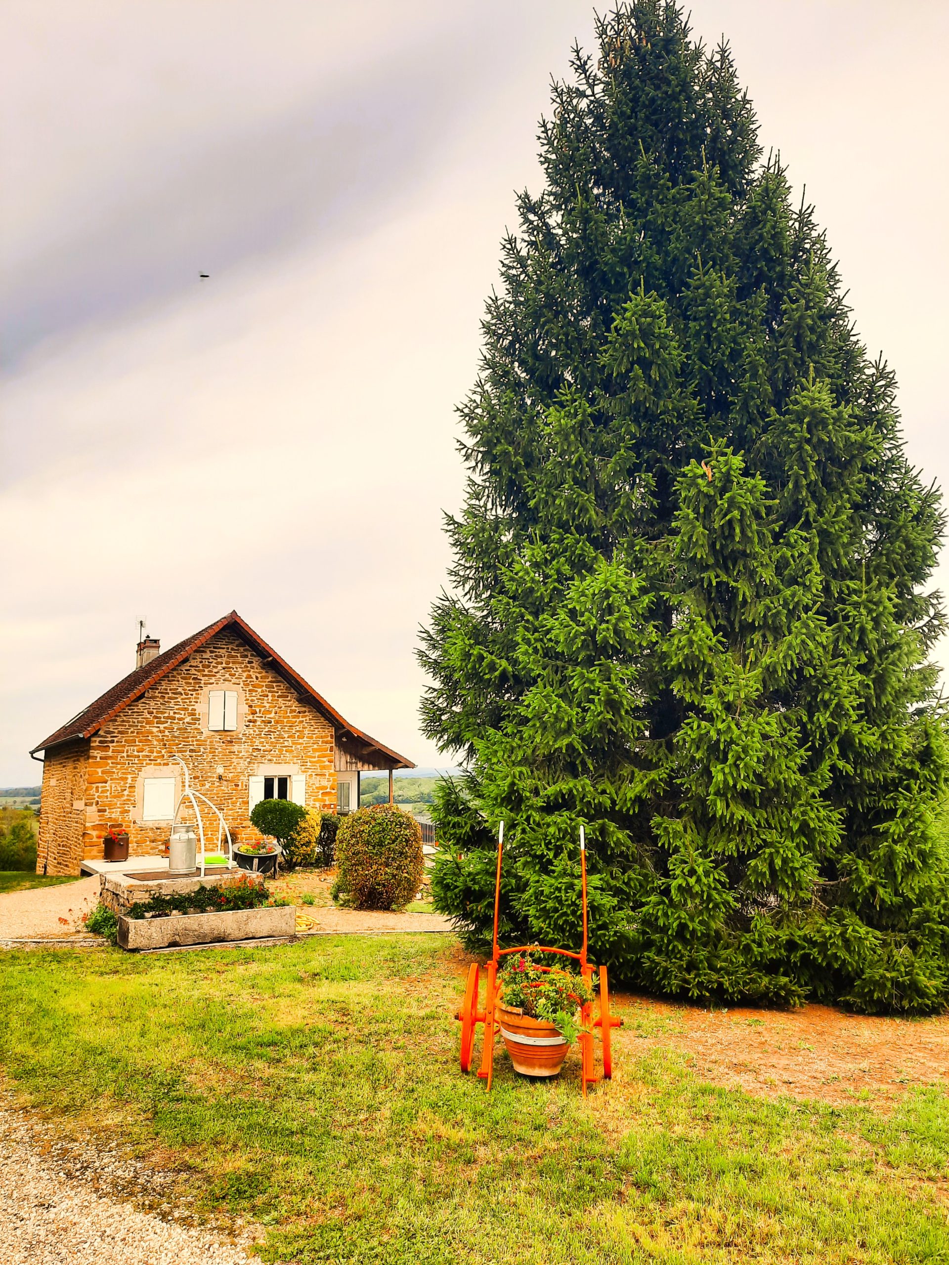 ToulouseleChâteau, un donjon sur le mont JurAbsolu